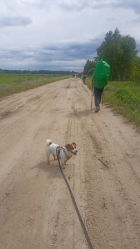 Шёпот мещёрских лесов да гладь озёр
