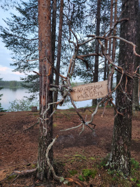 Сплав по реке Писта (Пистайоки) на байдарках