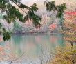 Осень у подножия Фудзиямы