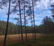 Озерная тропа (ночевка на базе отдыха)
