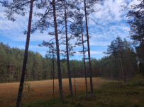 Озерная тропа