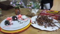 Сокровищница абхазских городов (семейный)