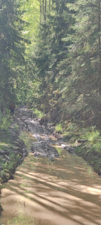 К лесному водопаду Гремучий ручей