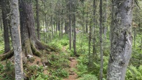 Природный парк Ергаки (Западный Саян)