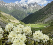 Горный лагерь в Дигории (Северная Осетия)