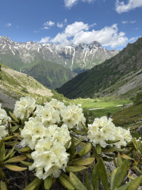 Горный лагерь в Дигории (Северная Осетия)