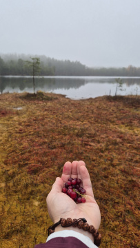 По следам Лыжной Стрелы