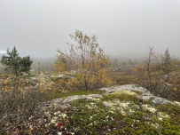 Поморские выходные