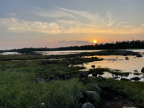 Сплав по реке Воньга и Белое Море на байдарках