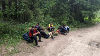 Ленобласть. Пеший поход полсотни миль