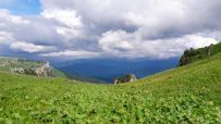 Легендарная Тридцатка - маршрут к горе Фишт (Большой Кавказский Заповедник)