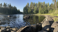 Сплав по рекам Чирка-Кемь и Кемь