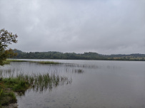 Карельский велопоход: Ладожское озеро, реки, скалы, водопады