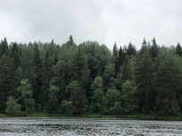 Сплав по реке Шуя