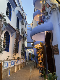 Все цвета королевства контрастов