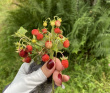 Водное ассорти с детьми: на лодках, байдарках, сапах