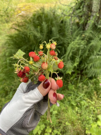 Водное ассорти с детьми: на лодках, байдарках, сапах