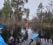 Сплав по реке Поля «Cквозь лес на байдарках»