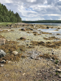 Сплав по реке Кереть и Белое море