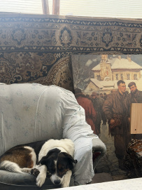 Высокогорный Национальный заповедник Чегем