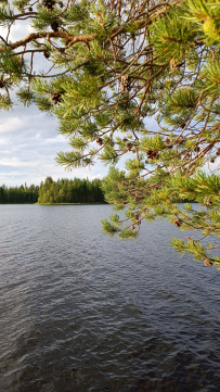 Сплав по реке Кереть и Белое море