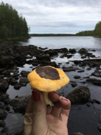 Сплав по реке Кереть и Белое море