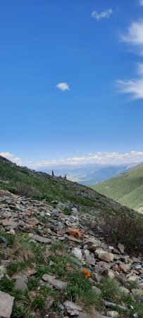 Горный лагерь в Актру (проживание в домиках)