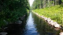 Соловецкие Острова в Белом Море (экскурсии + поход)