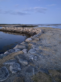 Соловецкие острова на морских каяках