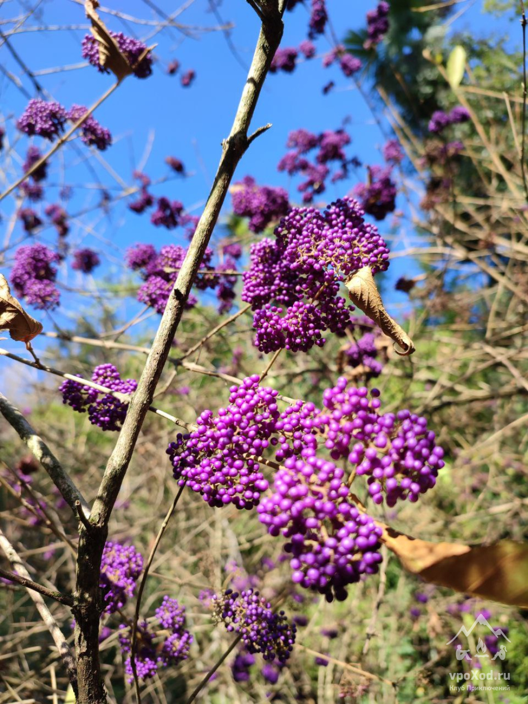 Абхазия на ладони (активный тур с детьми)