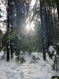 Страна белоснежных троп (однодневный лыжный)