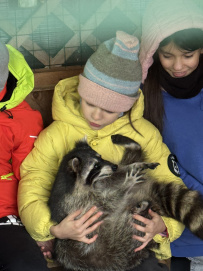 Приключенческий квест-поход «По следам енота» (Подмосковье)