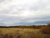 Крыша Карелии (национальный парк Паанаярви)