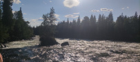 Сплав и рыбалка на Умбе(с выходом в Белое море). Рыболовный маршрут