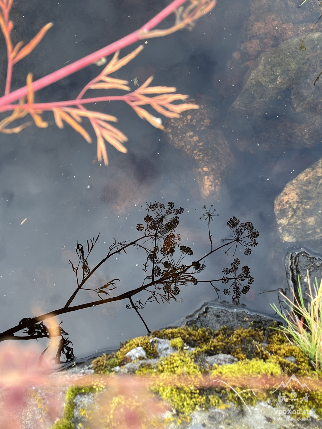 Тур Ладожские шхеры на каяках