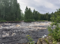 Сплав по реке Шуя