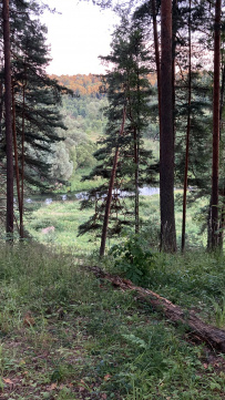 Берегами Протвы в Боровск (пеший поход)