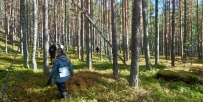 Поход под парусами: Бьёркский архипелаг