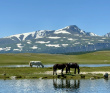 Автотур «Неизведанная Монголия»