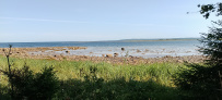 Соловецкие Острова в Белом Море (экскурсии + поход)