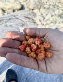 Белое море на морских каяках (байдарках): Карельский берег