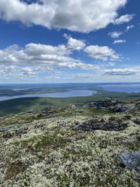 Колвица на морских каяках (байдарках). Путешествие на землю Саамов