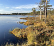 Аметистовый берег Белого моря