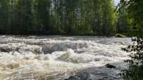 На байдарках: Кереть и Белое море