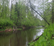Каньон реки Ящеры