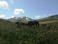 Легендарная Тридцатка - маршрут к горе Фишт (Большой Кавказский Заповедник)