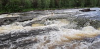 Сплав по реке Воньга и Белое Море на байдарках