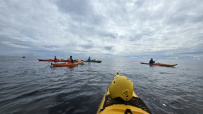 Архипелаг Кузова и Кемские шхеры. По Белому морю на морских каяках