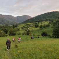 Великий горный край: природа западной Сербии (треккинг-тур в национальный парк Тара)