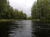 Сплав по реке Воньга и Белое Море на байдарках